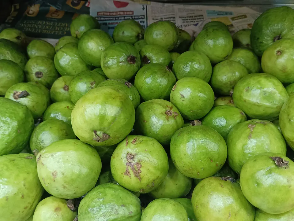Egyptian Guava