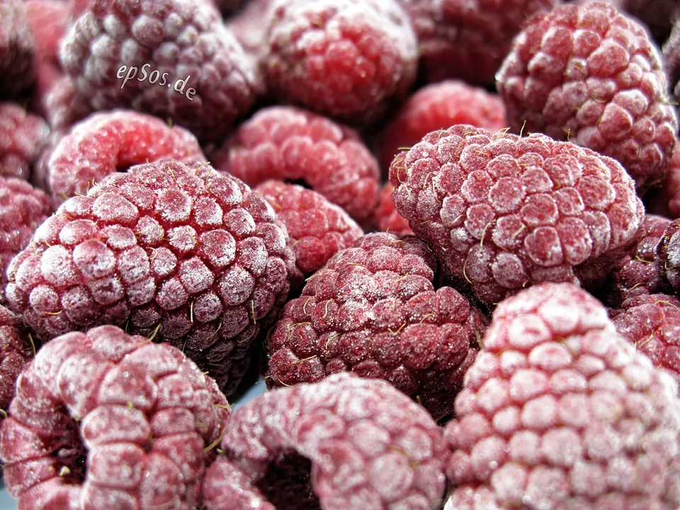 IQF Berries: Blueberries, Raspberries & Blackberries