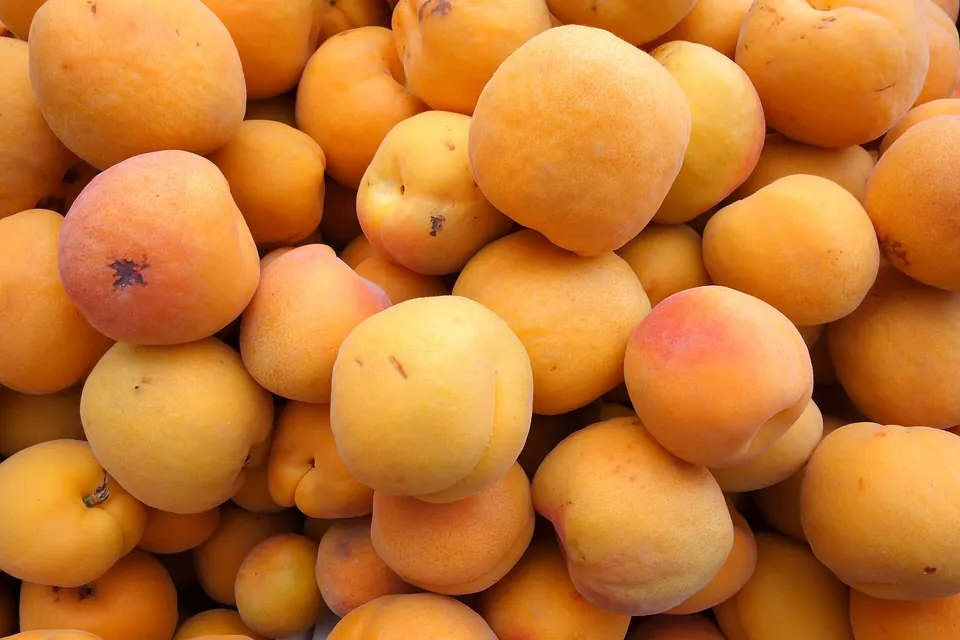 Stone Fruits: Apricots, Peaches, Nectarines & Plums